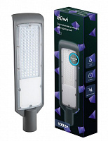 DUWI (25080 7) LED СКУ-04 100Вт 230В 6500К IP65 Садово-парковый светильник