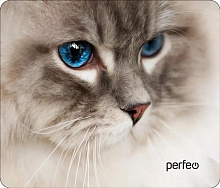 PERFEO (PF_D0657) "Cat" Коврик для компьютерной мыши