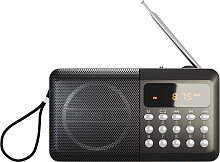 SOUNDMAX SM-RD2116 чёрный Радиоприемники