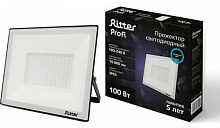 RITTER (53410 9) PROFI 100 Вт/6500К Прожектор светодиодный