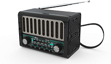 RITMIX RPR-020, черный Радиоприемник