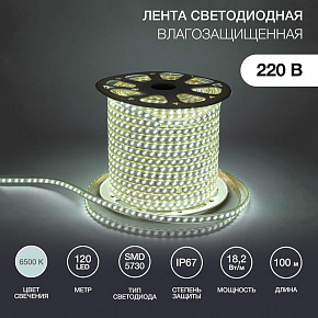 NEON-NIGHT (142-703) LED лента 220 В, 6.5x17 мм, IP67, SMD 5730, 120 LED/m, цвет свечения белый, 100 м Лента светодиодная