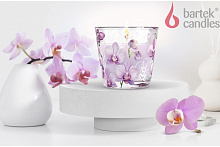 BARTEK Орхидея Фаленопсис (Orchid Phalaenopsis) 115гр в стакане Свеча