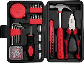 PIONEER (22139) TSH-95-01