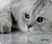 PERFEO (PF_D0666) "Cat" Коврик для мыши