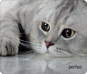 PERFEO (PF_D0666) "Cat" Коврик для мыши