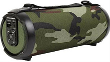 SOUNDMAX SM-PS5020B хаки Портативные аудиосистемы