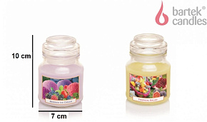 BARTEK Фруктовый (FRUITFUL) 130гр в баночке Свеча