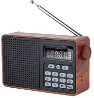 PERFEO (PF_D0574) ALPINIST , коричневый