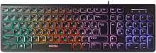 SMARTBUY (SBK-250U-K) ONE250U черный Клавиатура