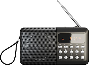 SOUNDMAX SM-RD2116 чёрный Радиоприемники