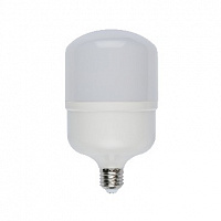 VOLPE (10809) LED-M80-25W/NW/E27/FR/S картон Лампа декоративная светодиодная