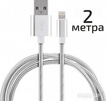ENERGY Кабель ET-29-2 USB/Lightning, 2 метра, цвет - серебро (104110)