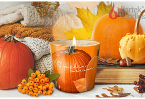 BARTEK Сезон тыквы (Pumpkin Season) 115гр в стакане Свеча