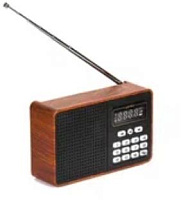 PERFEO (PF_D0573) ALPINIST , коричневый Радиоприемник