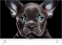 TOPDEVICE TDTV24CS08H_WE HD белый LED-Телевизор