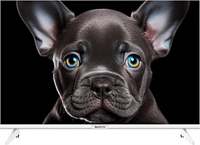 TOPDEVICE TDTV24CS08H_WE HD белый LED-Телевизор