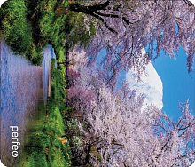 PERFEO (PF_D0687) "Времена года" "Весна" Коврик для мыши