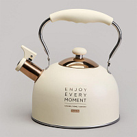 AGNESS 914-160 2,5л индукция