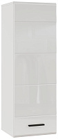 НК-МЕБЕЛЬ GLOSS шкаф навесной Белый/Белый глянец 71373113 (2 кор.) Модуль для гостиной НК-МЕБЕЛЬ GLOSS шкаф навесной Белый/Белый глянец 71373113 (2 ко