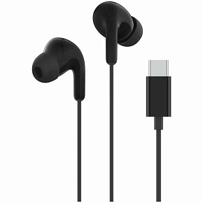 XIAOMI Type-C Earphones_черные BHR8930GL (M2413E1) Наушники вкладыши проводные