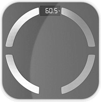 CENTEK CT-2425 Gray Весы напольные