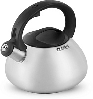 RONDELL RDS-1607 Чайник