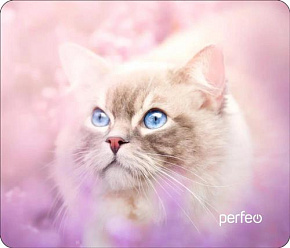 PERFEO (PF_D0656) "Cat" Коврик для компьютерной мыши