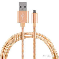 ENERGY Кабель ET-28 USB/Lightning, цвет - золотой