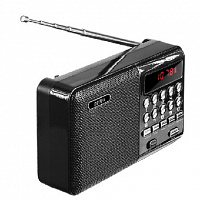 PERFEO (PF-A4870) PALM - черный Радиоприемник