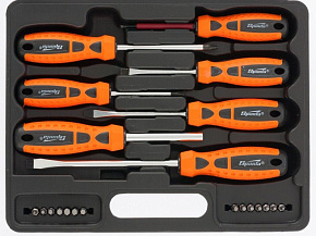 SPARTA Набор отверток, биты, двухкомпонентные рукоятки, 21 предмет 13309 Набор инструмента