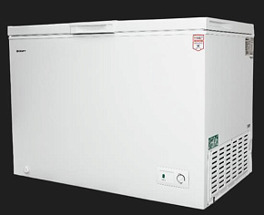 KRAFT BD (W)-380RX Морозильный ларь