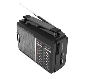 RITMIX RPR-190, черный Радиоприемник