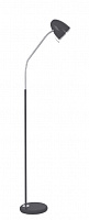 CAMELION (11484) KD-309 C02 , торшер, черный Напольный светильник