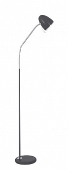 CAMELION (11484) KD-309 C02 торшер черный Напольный светильник