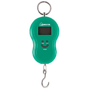 HOMESTAR HS-3003 (002692) Весы