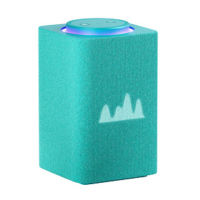 ЯНДЕКС YNDX-00053TRQ Станция Макс Zigbee, 65Вт, с Алисой на YaGPT, бирюзовый Умная колонка