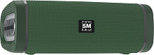 SOUNDMAX SM-PS5019B(зелёный) Портативная акустика