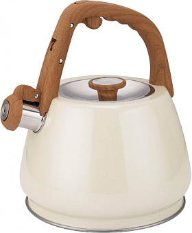 ZEIDAN Z-4553 Чайники