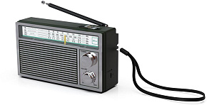 RITMIX RPR-131, черный Радиоприемник