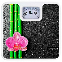 ENERGY ENМ-409D (003116 ) Весы