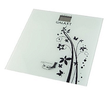 GALAXY GL 4800 Весы