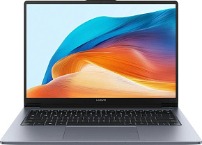 HUAWEI 14" IPS WUXGA MateBook D14 MDG-X gray (53014MUB) (ПИ)