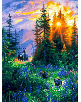 БЕЛОСНЕЖКА 1123-AS В лесной чаще Картина по номерам на холсте