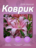 PERFEO (PF_E1769) ЦВЕТЫ Коврик PERFEO (PF_E1769) ЦВЕТЫ