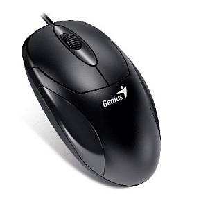 GENIUS (31010233100) XScroll V3 черный Мышь