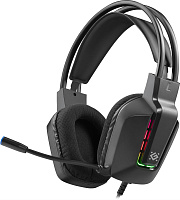 DEFENDER (62340) GOTHIC черный Наушники