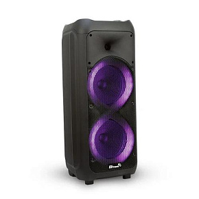 ELTRONIC (20-58) DANCE BOX 500 - колонка 08 Акустика ELTRONIC (20-58) DANCE BOX 500 - колонка 08