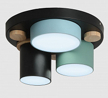 RITTER 52074 0 Scandia 30 Вт черный/зеленый/голубой светильник потолочный