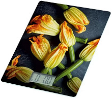 HOMESTAR HS-3015В (110057)